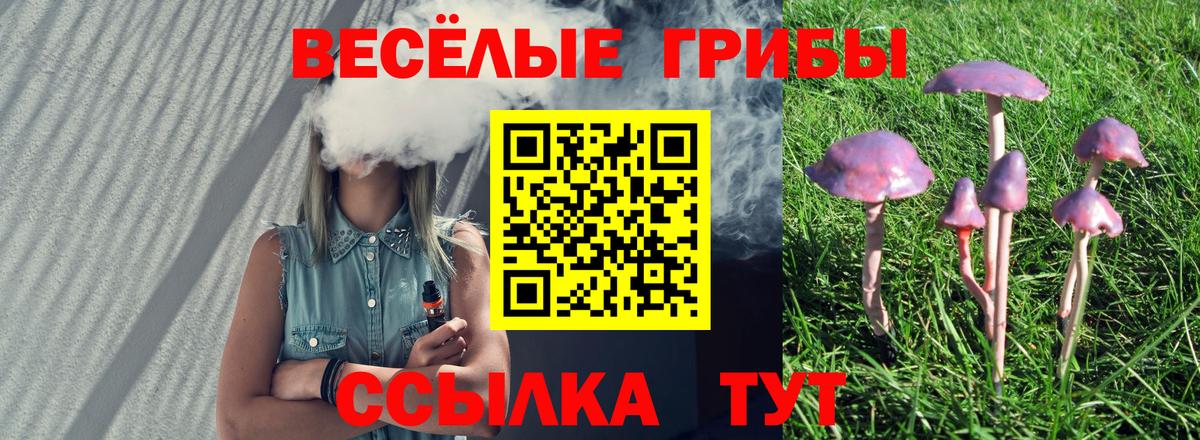 Ленинск-Кузнецкий  Псилоцибиновые грибы GOLDEN TEACHER  Вход с VPN 